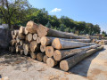 img-20240904-wa0007.jpg