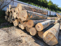 img-20240904-wa0008.jpg