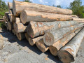 img-20240904-wa0009.jpg