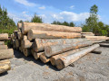 img-20240904-wa0010.jpg