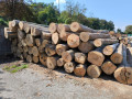 img-20240904-wa0011.jpg