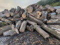 img-20240930-wa0007.jpg