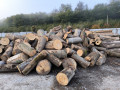 img-20240930-wa0009.jpg