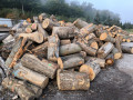 img-20240930-wa0010.jpg
