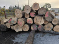 img-20240930-wa0011.jpg