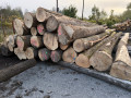 img-20240930-wa0012.jpg