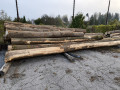 img-20240930-wa0013.jpg