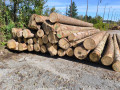 img-20240930-wa0031.jpg