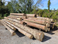 img-20240930-wa0032.jpg