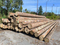 img-20240930-wa0033.jpg