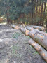 img-20241001-wa0010.jpg