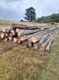 img-20241001-wa0012.jpg