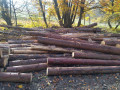 img-20241029-wa0002.jpg