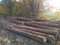 img-20241029-wa0003.jpg