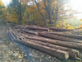 img-20241029-wa0004.jpg