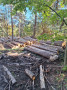 img-20241029-wa0005.jpg
