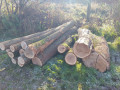 img-20241106-wa0032.jpg