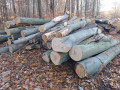 img-20241106-wa0034.jpg