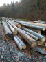img-20241106-wa0010.jpg