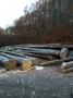 img-20241106-wa0011.jpg