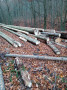 img-20241106-wa0008.jpg