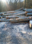 img-20241106-wa0020.jpg