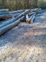 img-20241106-wa0021.jpg