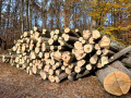 img-20241106-wa0053.jpg