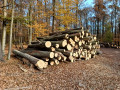 img-20241106-wa0052.jpg