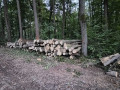 img-20241106-wa0054.jpg