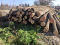 img-20241107-wa0014.jpg