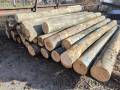 img-20241107-wa0019.jpg