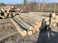 img-20241107-wa0020.jpg