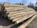 img-20241107-wa0021.jpg