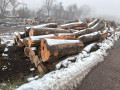 img-20241127-wa0003.jpg