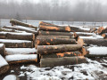 img-20241127-wa0004.jpg
