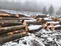 img-20241127-wa0005.jpg