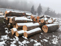 img-20241127-wa0006.jpg
