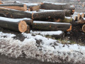 img-20241127-wa0008.jpg