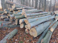 img-20250110-wa0002.jpg