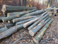 img-20241106-wa0031.jpg