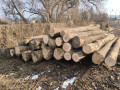 obrazok-whatsapp-2025-02-10-o 12.jpg
