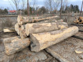 img-20250310-wa0033.jpg