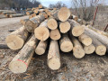 img-20250310-wa0034.jpg