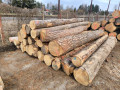 img-20250310-wa0036.jpg