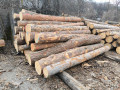 img-20250310-wa0037.jpg