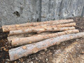 img-20250310-wa0039.jpg