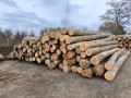 img-20250310-wa0040.jpg