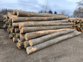 img-20250310-wa0041.jpg
