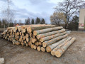 img-20250310-wa0042.jpg